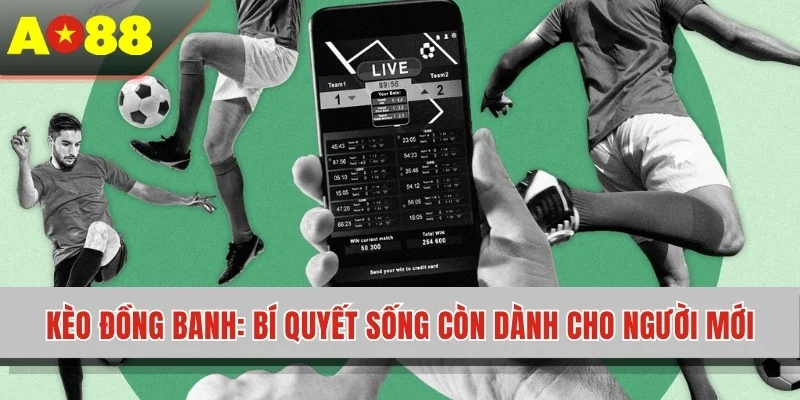 Kèo Đồng Banh - Bí Quyết Sống Còn Dành Cho Người Mới